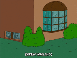 Episode 16 Window GIF by The Simpsons
