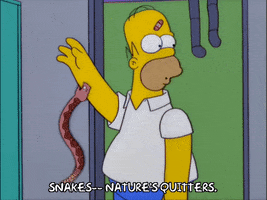 homer simpson snake bite GIF