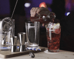 cocktail cranberry GIF by Absolut Vodka