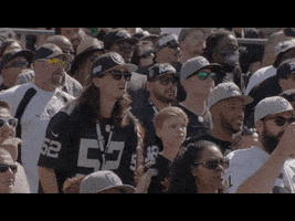Excited Oakland Raiders GIF by Las Vegas Raiders