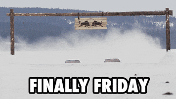 snow friday GIF by Red Bull