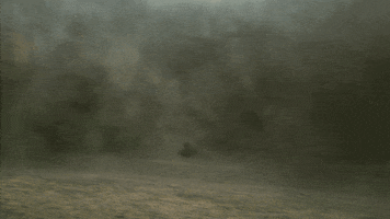 memorable  GIF