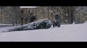 Harry Potter Christmas GIF