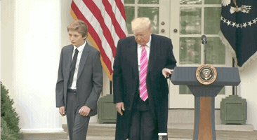 Donald Trump GIF