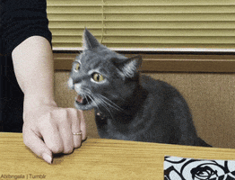 creepy  GIF