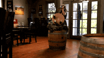 zooey deschanel fox GIF by New Girl