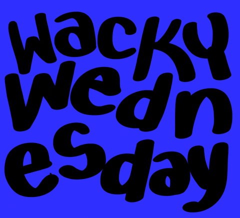 Image result for wacky wednesday gif