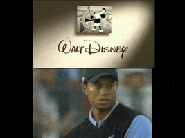 plutonium #zootopia #cinema #premiere #reaction GIF