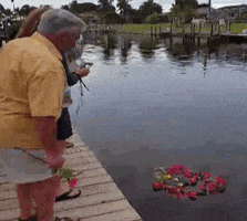 Video gif. A group of people stand on a wooden dock and carefully toss roses into the water. The dock crumbles underneath them toppling them into the water. 