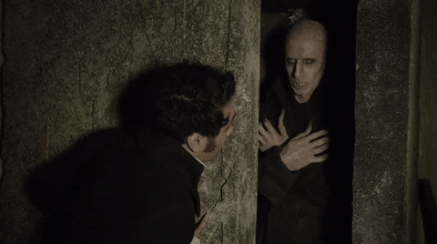Vampire GIF by What We Do In The Shadows - Find & Share on GIPHY