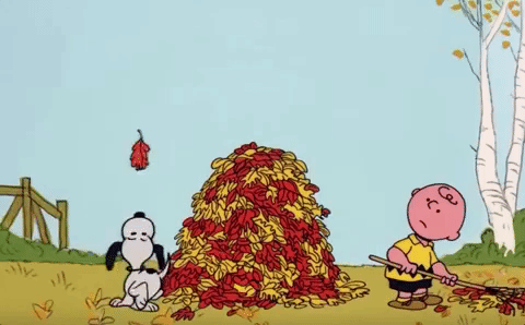  fall autumn charlie brown snoopy leaves GIF