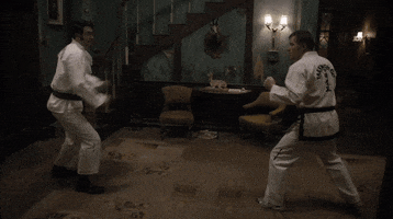 Martial Arts Karate GIF by What We Do In The Shadows