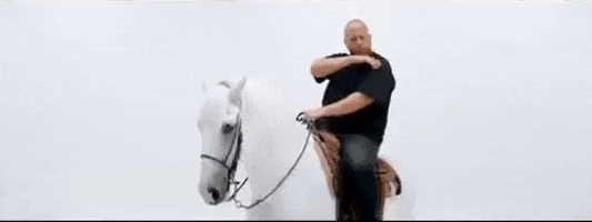 Swag Horse GIF by Action Bronson