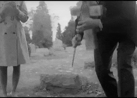 night of the living dead cemetery GIF