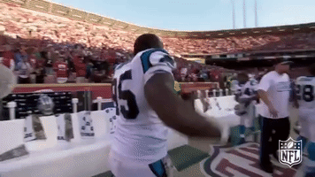 carolina panthers dancing GIF by NFL
