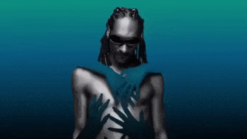 Snoop Dogg GIF by reactionseditor