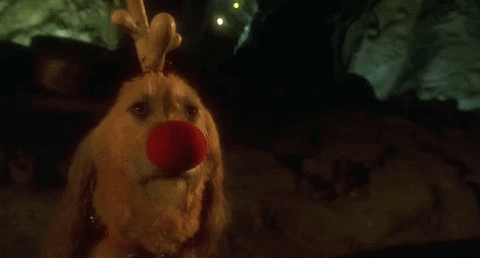 Dog from The Grinch Who Stole Christmas