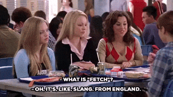 what is fetch mean girls GIF