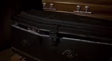vampire dracula GIF