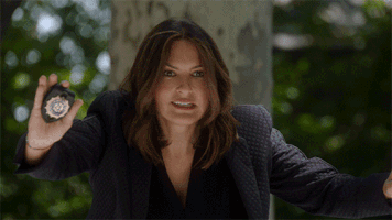Stop It Law And Order Svu GIF by NBC