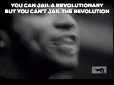 giphy-downsized-medium.gif