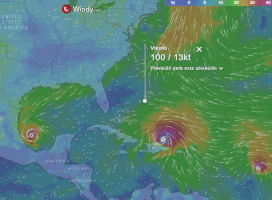 vivianacolomaarce irma GIF