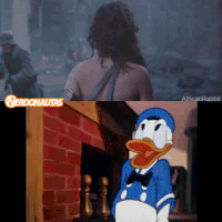 marcosjeff wonder woman donald gal GIF