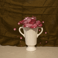 200w.gif?cid=ecf05e47m7bcfv58vfif1lexdhy