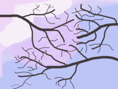 ile-df ile df GIF