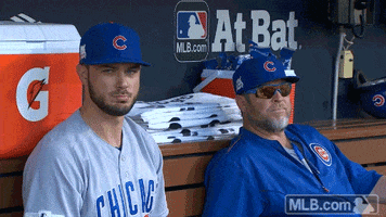 Chicago Cubs Hello GIF by MLB