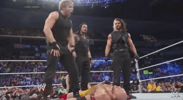 the shield wrestling GIF by WWE
