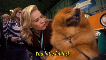Dog Show Netflix GIF by Chelsea Handler