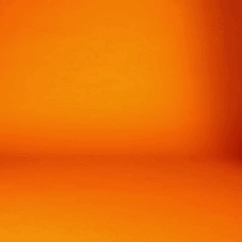 Burlington GIF