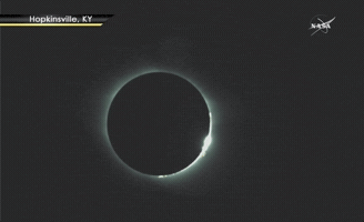 markriechers eclipse ky put your glasses on GIF