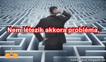 rea halak GIF