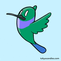 Hummingbird GIF - Find & Share on GIPHY Hummingbird GIF - Find & Share on GIPHY