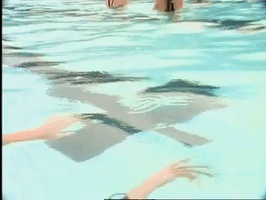 200.gif?cid=fc005b084e05c52ca61ce79eb19ca502101c023400f06eb4&rid=200.gif&ct=g