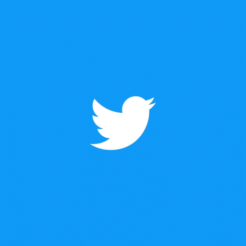 Twitter Web GIF