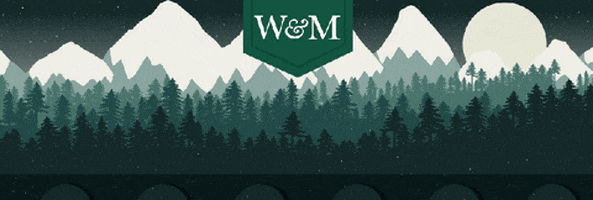 snow train GIF by William & Mary