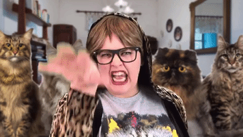 Coming For You Cat Lady GIF