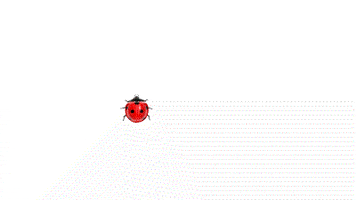 asm  GIF