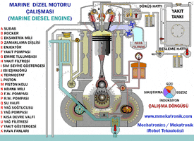 onur  GIF