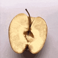 animation glitch GIF by Ryan Seslow