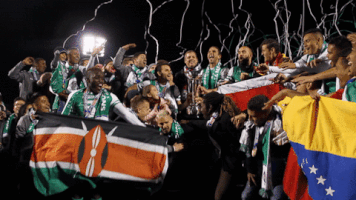soccer bowl GIF by New York Cosmos