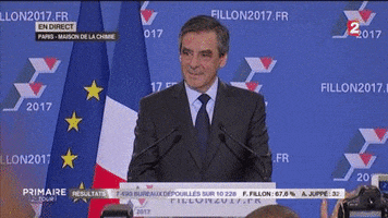 mimique GIF by franceinfo