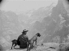 Wagging National Park GIF by US National Archives