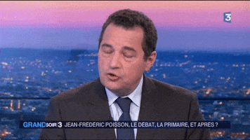 jean-frederic poisson wtf GIF by franceinfo