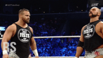 realsport101 nxt asuka cm punk bayley GIF