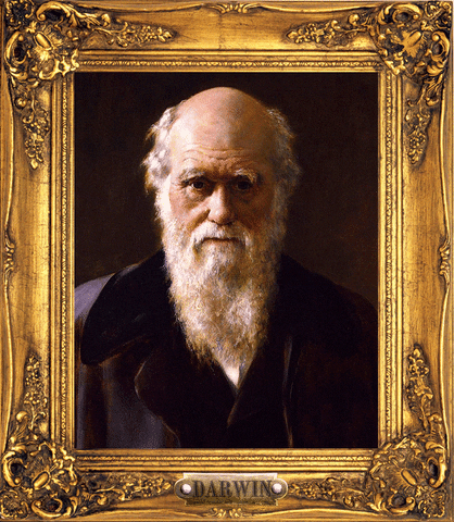 ynjlywtmyxn0x2zvcl9jagftcglvbnnad2vilmrl  GIF