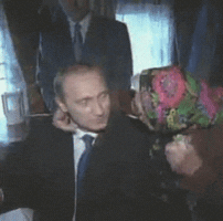vladimito putin babushka GIF
